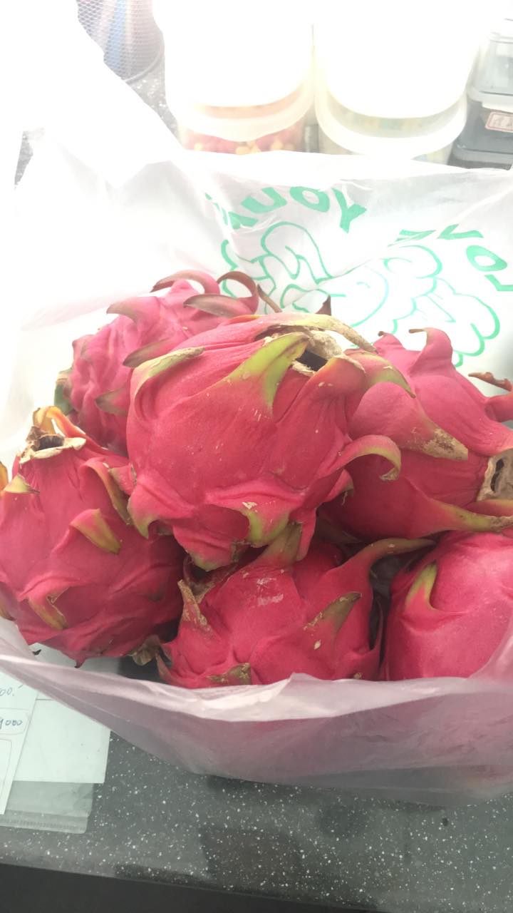 牙醫生活日常 牙醫生活日常